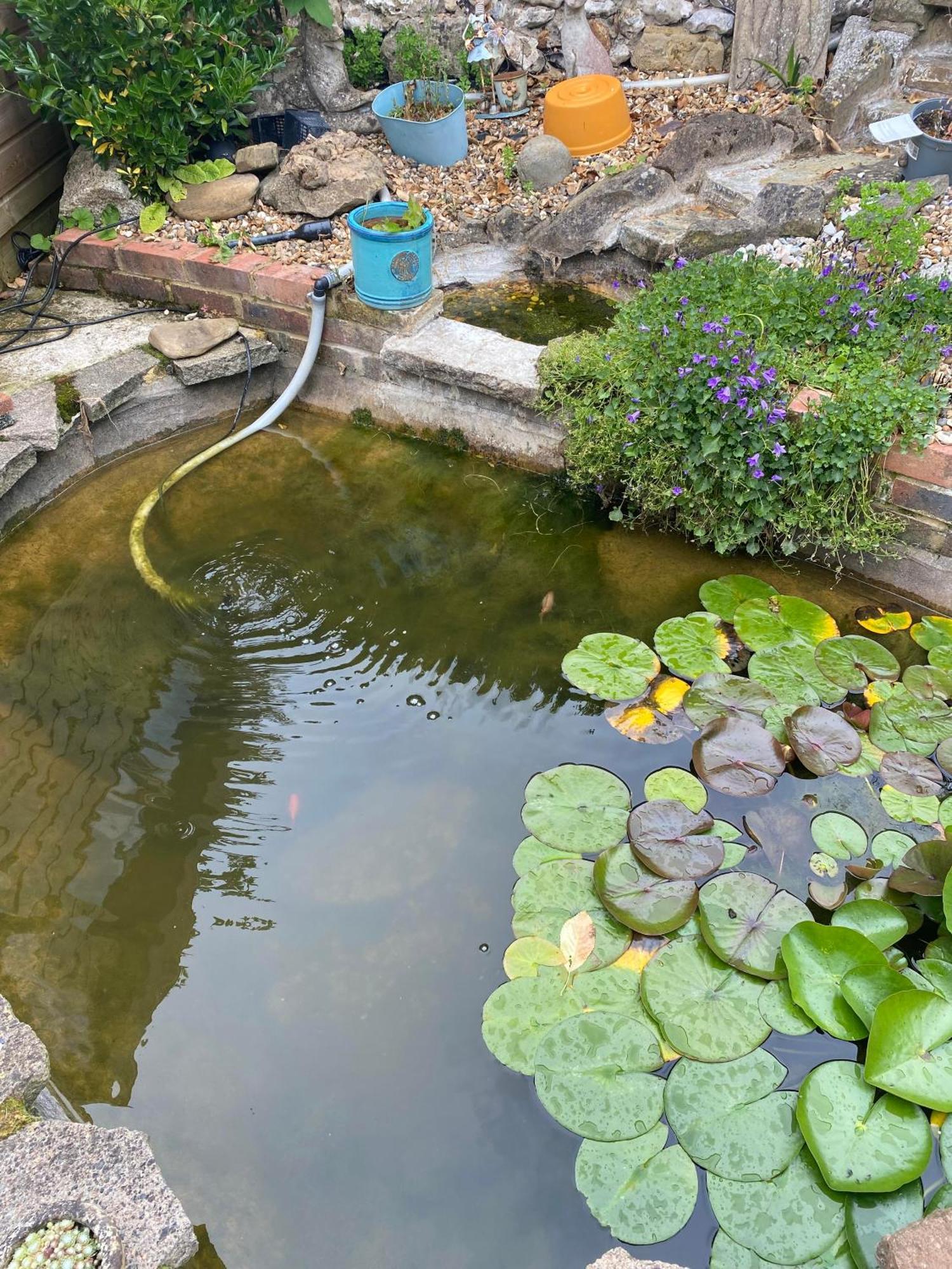 Pond Cottage Purley Zewnętrze zdjęcie