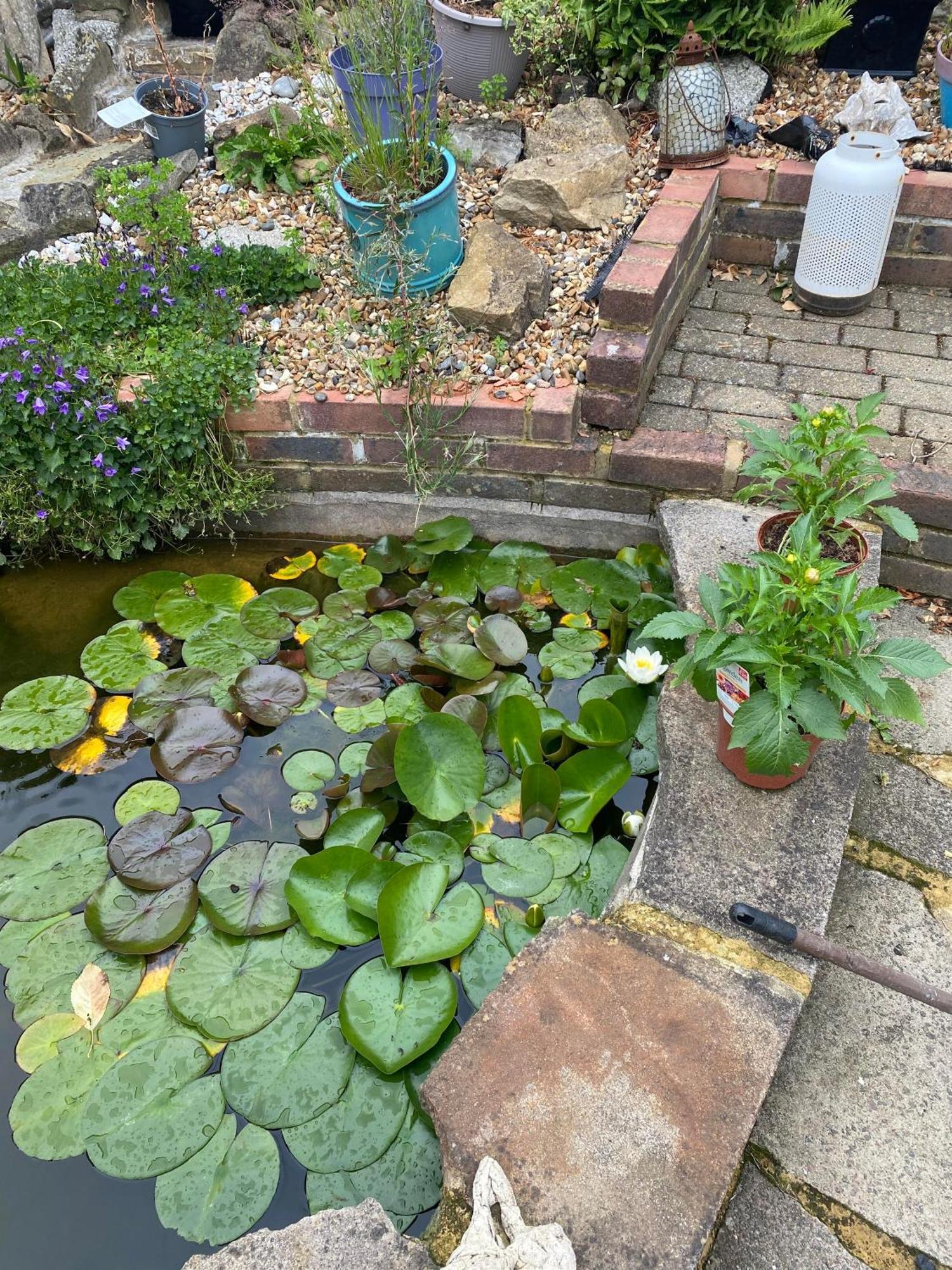 Pond Cottage Purley Zewnętrze zdjęcie